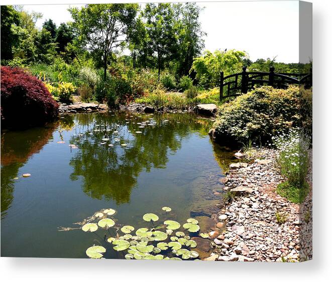 Paxson Hill Farm Canvas Print featuring the photograph Lily Pond at Paxson Hill #1 by Addie Hocynec