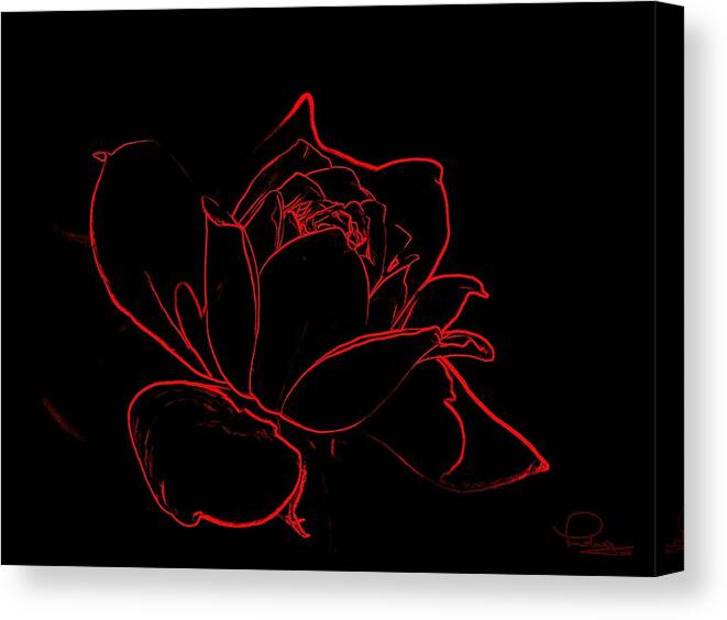 Flower Canvas Print featuring the digital art Rose #2 by Ludwig Keck