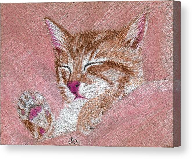 Cats Canvas Print featuring the drawing Sleeping Kitty #1 by Jo Prevost