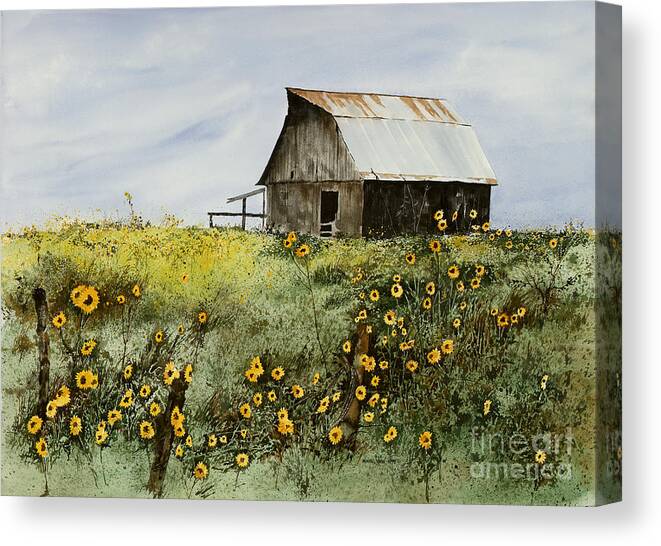 A Weathered Barn Is Surrounded By A Field Of Sunflowers. The Kansas Wind Sets Them In Motion For Their Summer Ballet. Canvas Print featuring the painting Summer Ballet by Monte Toon