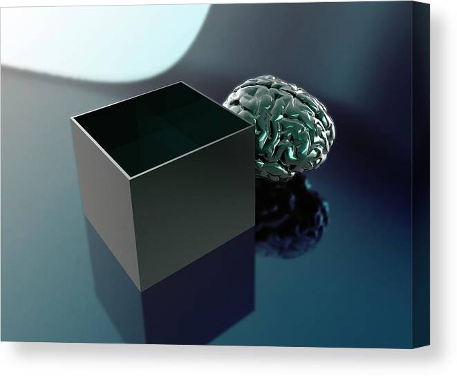 3 Dimensional Canvas Print featuring the photograph Thinking Outside The Box #1 by Victor Habbick Visions/science Photo Library