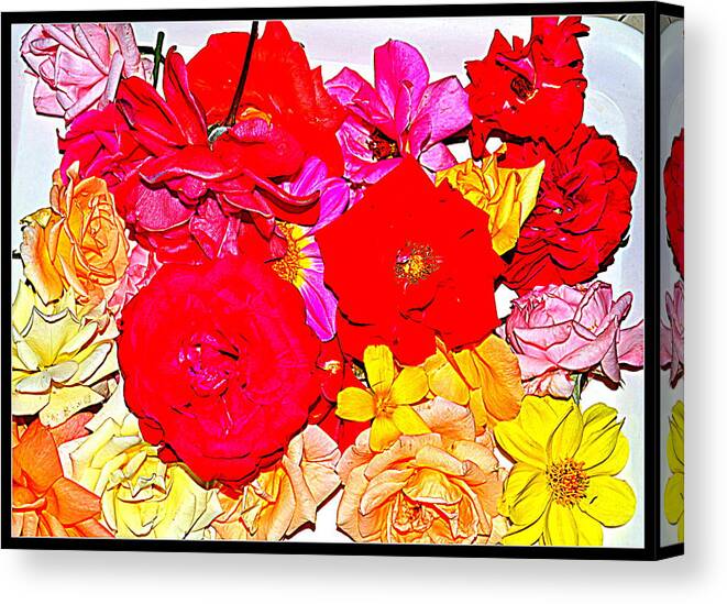 Lowers Flowers And Flowers Canvas Print featuring the photograph Flowers Flowers And Flowers #182 by Anand Swaroop Manchiraju