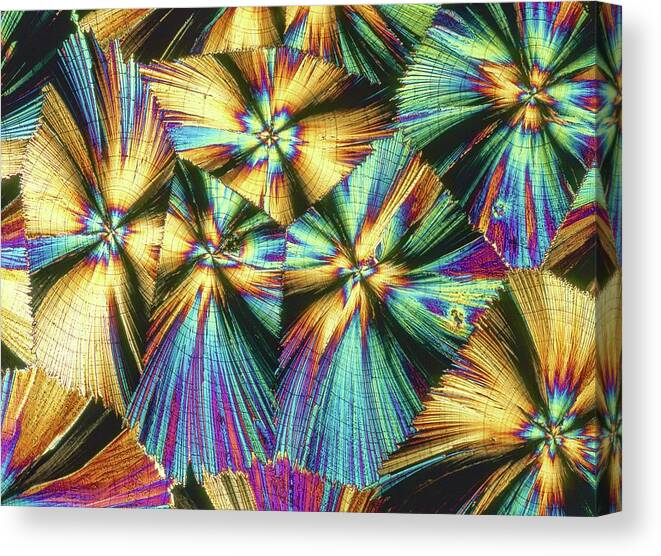 Biochemical Canvas Print featuring the photograph Human Growth Hormone Crystals #2 by Alfred Pasieka