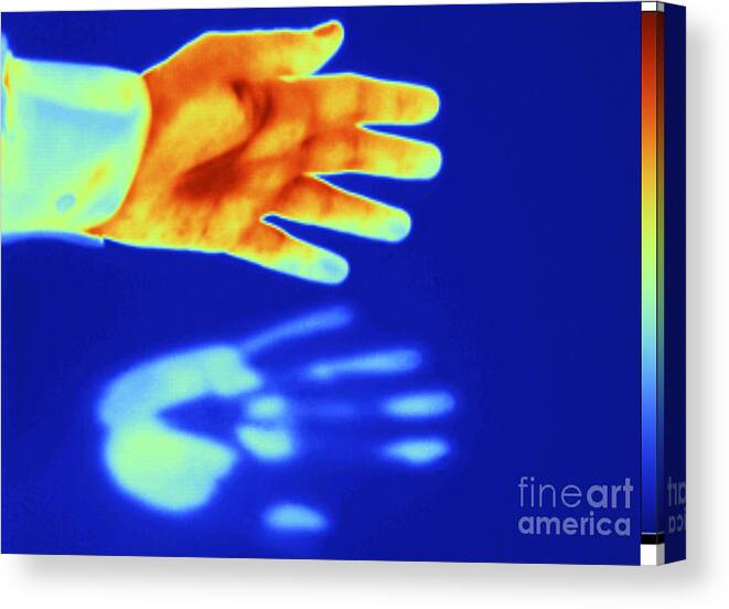 Digital Infrared Thermal Imaging Canvas Print featuring the photograph Thermogram Of A Thermal Shadow #2 by GIPhotoStock