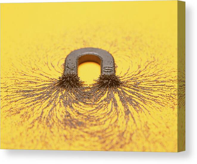 Field Canvas Print featuring the photograph Magnetic Field #5 by Cordelia Molloy/science Photo Library