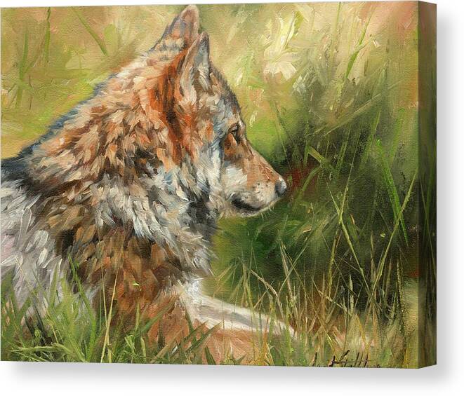 Wolf Canvas Print featuring the painting Grey Wolf #7 by David Stribbling