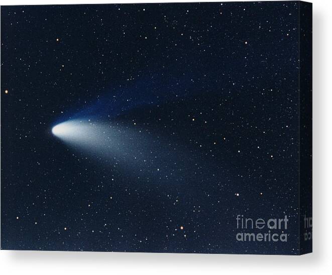 Hale-bopp Canvas Print featuring the photograph Hale-bopp Comet #6 by John Chumack
