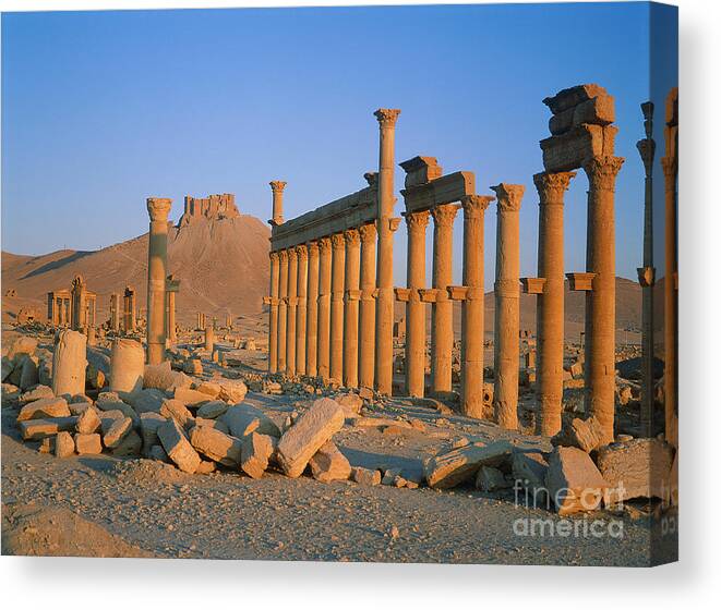 Syria Canvas Print featuring the photograph Ruins At Palmyra, Syria #6 by Adam Sylvester