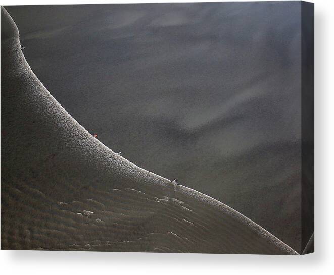 Tidal Bore Canvas Print featuring the photograph Feature - Bore Tide Surfing In Alaska #8 by Streeter Lecka