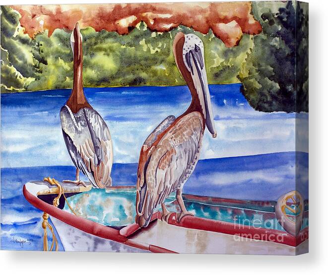 Pelican Canvas Print featuring the painting A Pair of Pelicans by Kandyce Waltensperger