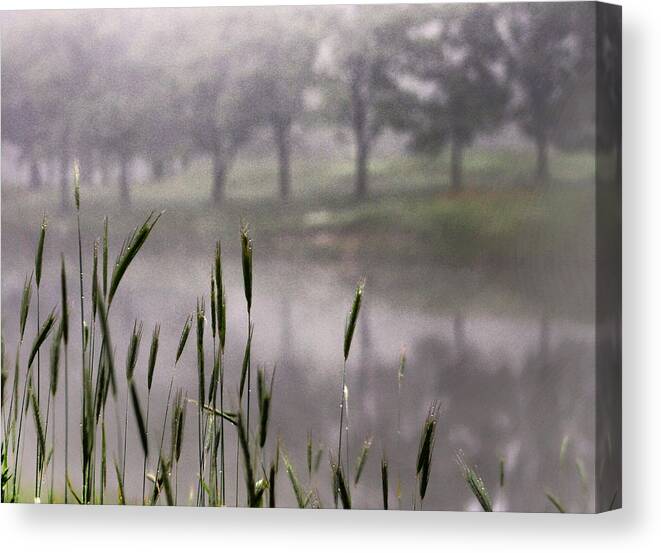 Mist Canvas Print featuring the photograph A View in the Mist by Bruce Patrick Smith