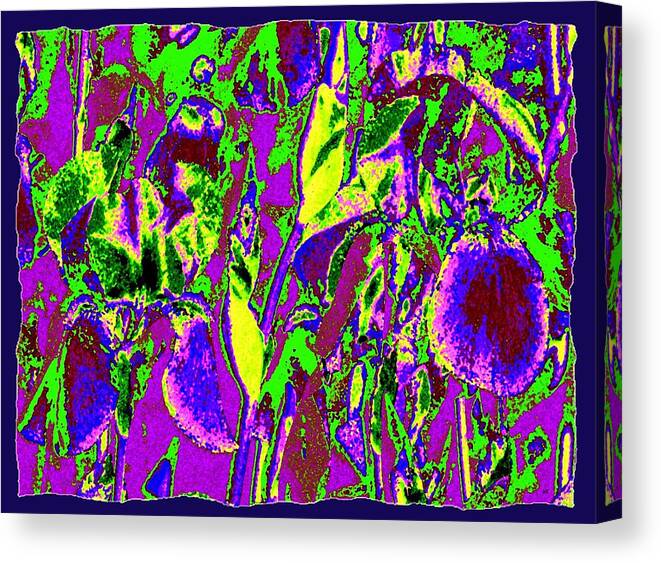 Abstract Irises Canvas Print featuring the digital art Abstract Irises by Will Borden