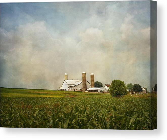 Rural Canvas Print featuring the photograph Amish Farmland by Kim Hojnacki