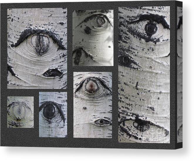 Aspen Canvas Print featuring the photograph Aspen Eyes are Watching You by Conni Schaftenaar