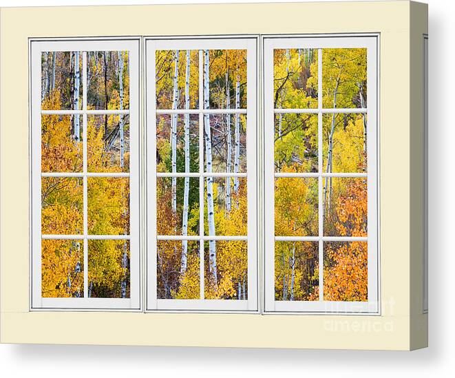 Window Canvas Print featuring the photograph Aspen Tree Magic Cream Picture Window View 3 by James BO Insogna