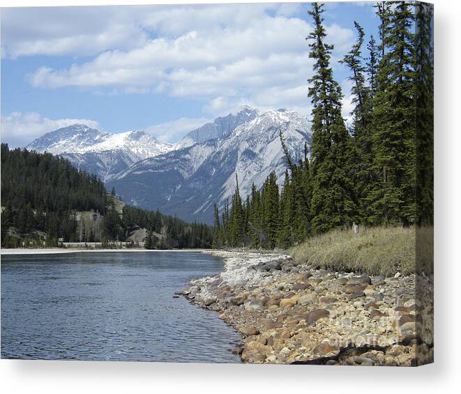 Jasper Canvas Print featuring the photograph Athabasca River - Jasper - Alberta by Phil Banks