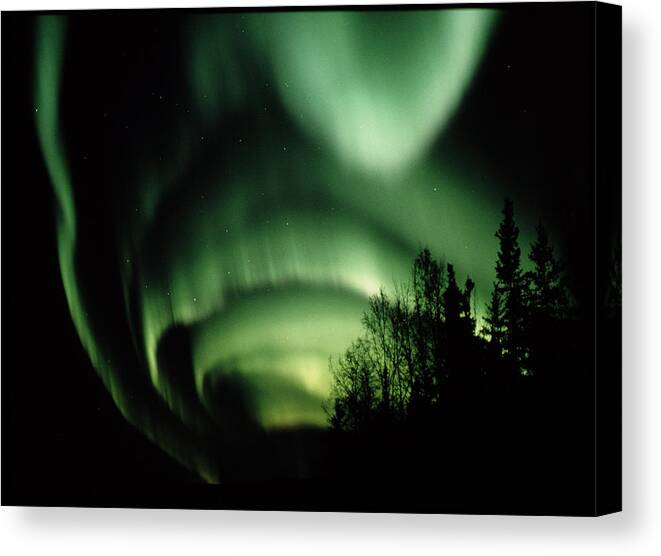 Atmospheric Phenomenon Canvas Print featuring the photograph Aurora Borealis by Jack Finch/science Photo Library