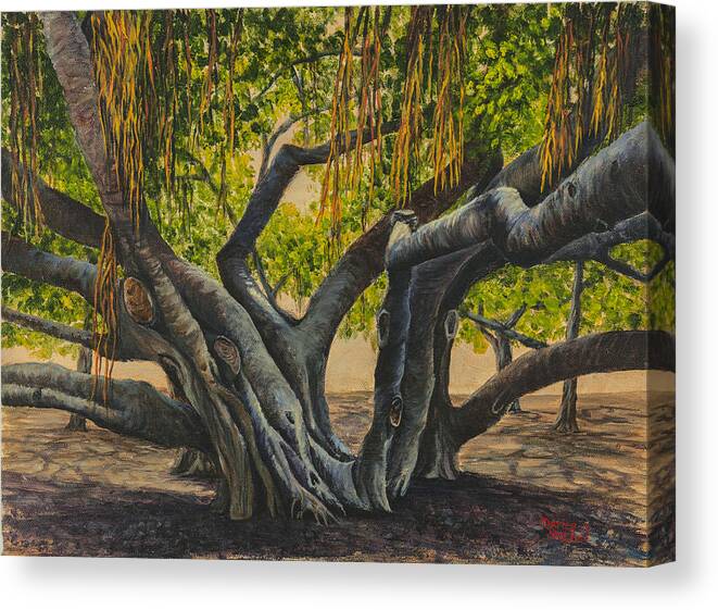 Landscape Canvas Print featuring the painting Banyan Tree Maui by Darice Machel McGuire