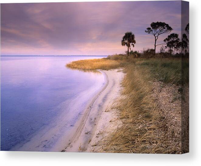 00175930 Canvas Print featuring the photograph Beach Along Saint Josephs Bay by Tim Fitzharris