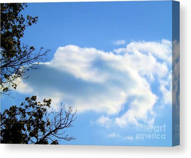 Sky Canvas Print featuring the photograph Beautiful Day by Robyn King