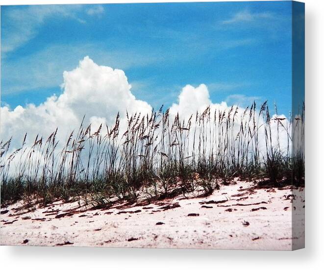 Bright Canvas Print featuring the photograph Blue Skies and Skyline of Sea Oats by Belinda Lee
