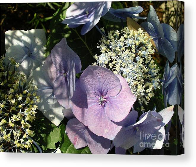 Flowers Canvas Print featuring the photograph Bouquet by Mark Messenger