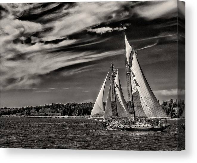 Windjammer Canvas Print featuring the photograph Bowditch No. 1 by Fred LeBlanc