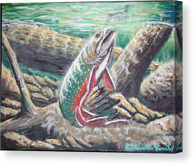 Trout Under Water Landscape Canvas Print featuring the painting Brook Trouts Buff Ay by Carey MacDonald