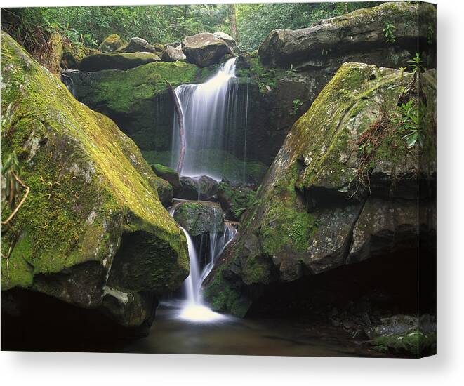 Feb0514 Canvas Print featuring the photograph Cascade Near Grotto Falls Great Smoky by Tim Fitzharris