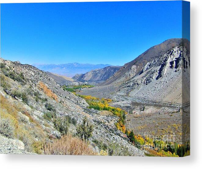 Sky Canvas Print featuring the photograph Cliffside by Marilyn Diaz