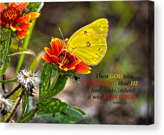 Cloudless Sulphur Butterfly Canvas Print featuring the photograph Cloudless Sulphur Butterfly And Scripture by Sandi OReilly