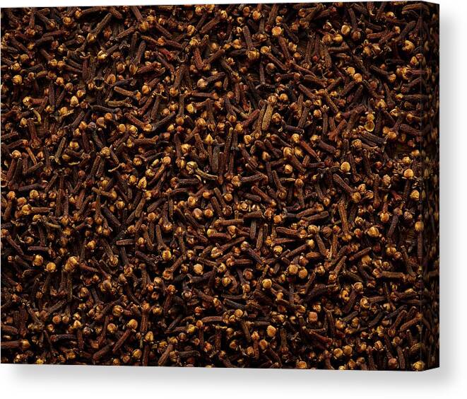 Nobody Canvas Print featuring the photograph Cloves by Science Photo Library