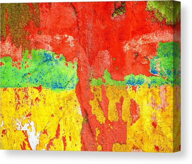 Abstract Canvas Print featuring the photograph Color Splash by Prakash Ghai