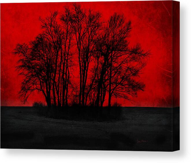 Red Canvas Print featuring the photograph Core by Luke Moore