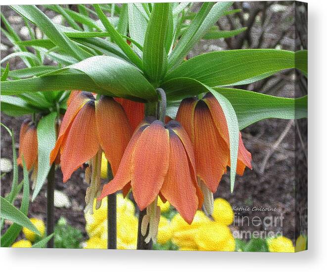 Flower Canvas Print featuring the photograph Crown Imperial Fritillaria by Kathie Chicoine