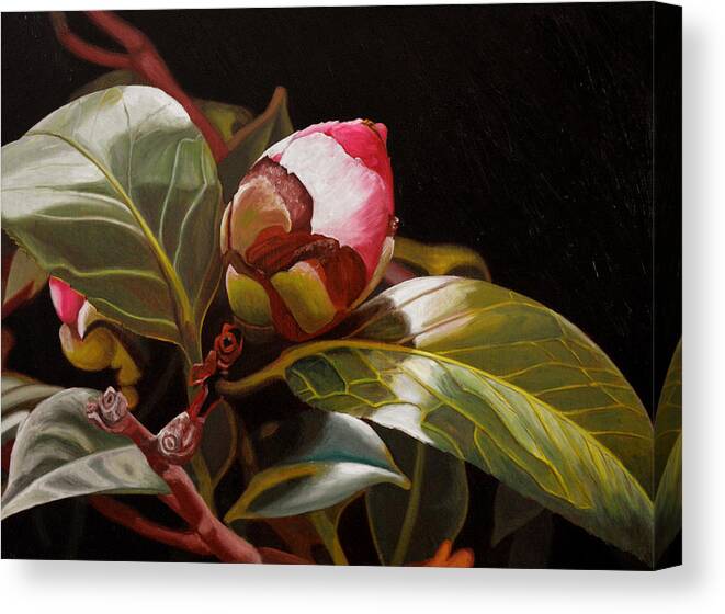 Rose Canvas Print featuring the painting December Rose by Thu Nguyen
