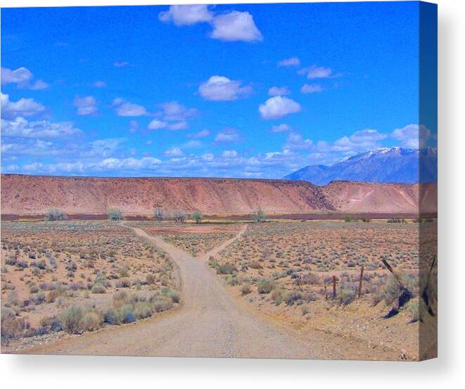 Desert Canvas Print featuring the photograph Decisions by Marilyn Diaz
