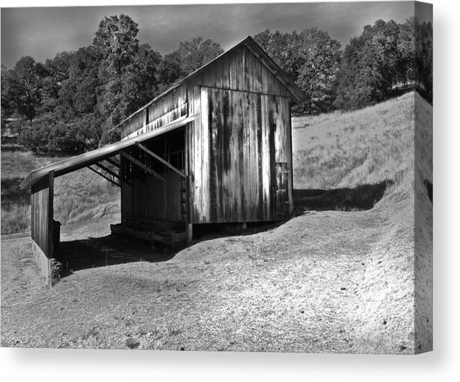 Barn Art Canvas Print featuring the photograph Defying the Odds by Kandy Hurley