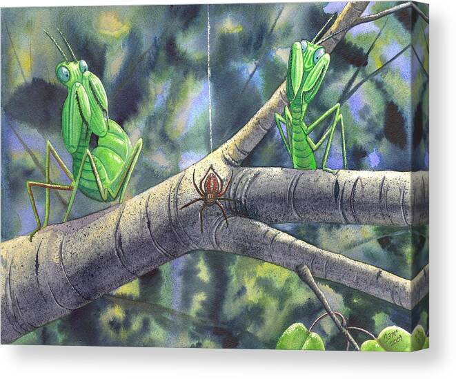 Mantis Canvas Print featuring the painting EEK by Catherine G McElroy