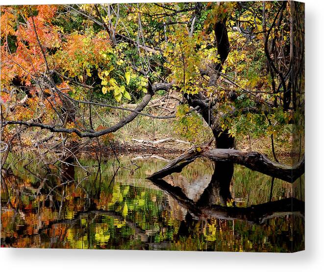 Fall Leaves Colors Branches Water One Mile Bidwell Park Chico Ca Canvas Print featuring the photograph Fall From the Water by Holly Blunkall