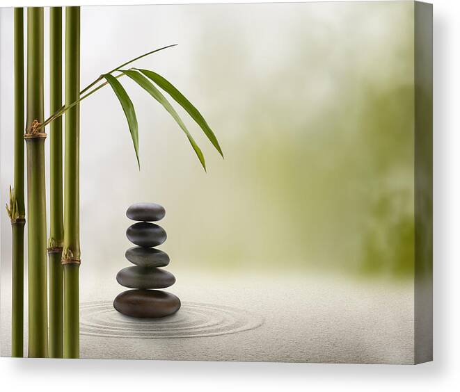 Bamboo Canvas Print featuring the photograph Feng Shui Solitude by Pixhook