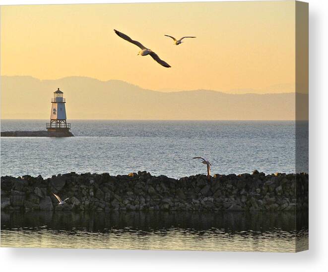 Digital Photography Canvas Print featuring the photograph Fly By by Mike Reilly