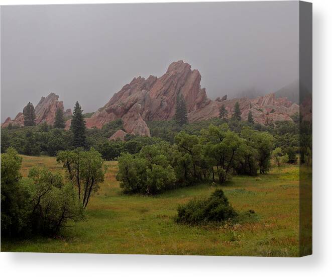 Landscape Canvas Print featuring the photograph Foggy Day Roxborough by Bill Wiebesiek