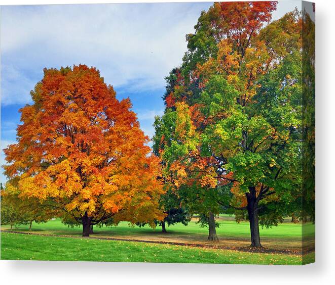 Foliage Canvas Print featuring the photograph Foliage in Connecticut by Pat Moore