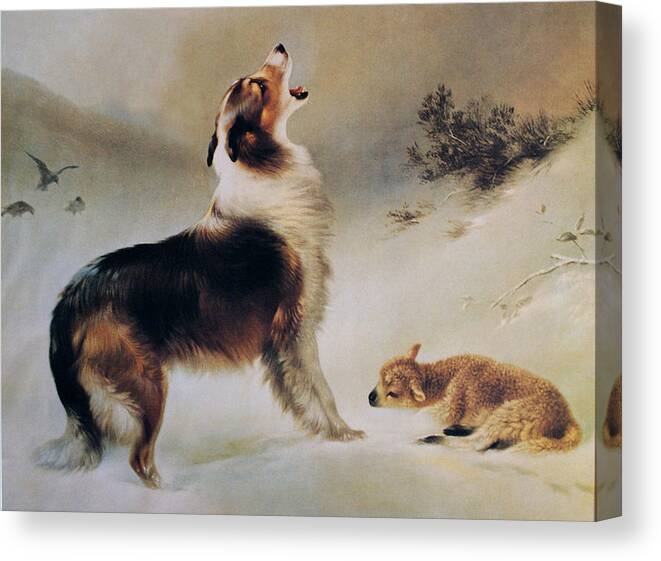 Collie Dog Canvas Print featuring the painting Found by Albrecht Schenck