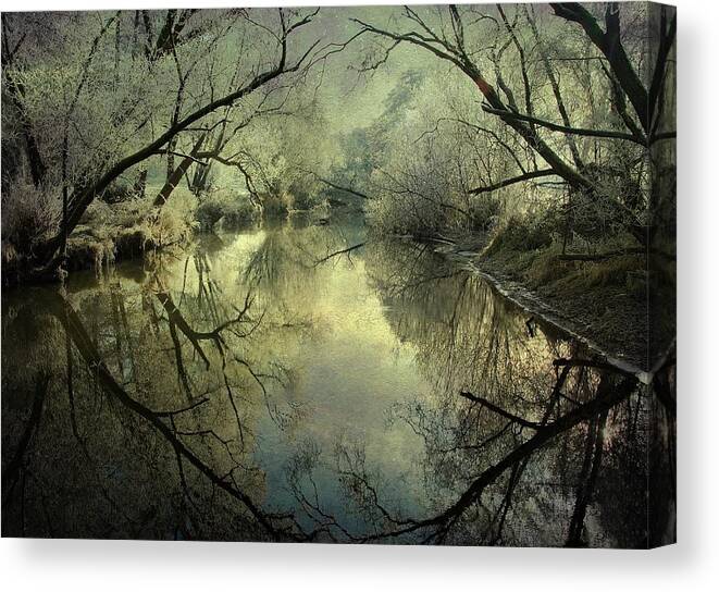 River Canvas Print featuring the photograph Frosty Silence by P R I