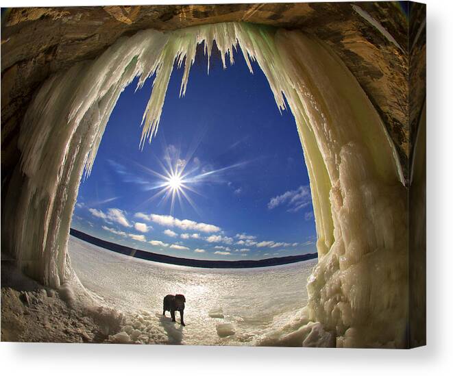 Steve White Canvas Print featuring the photograph Gatekeeper by Steve White