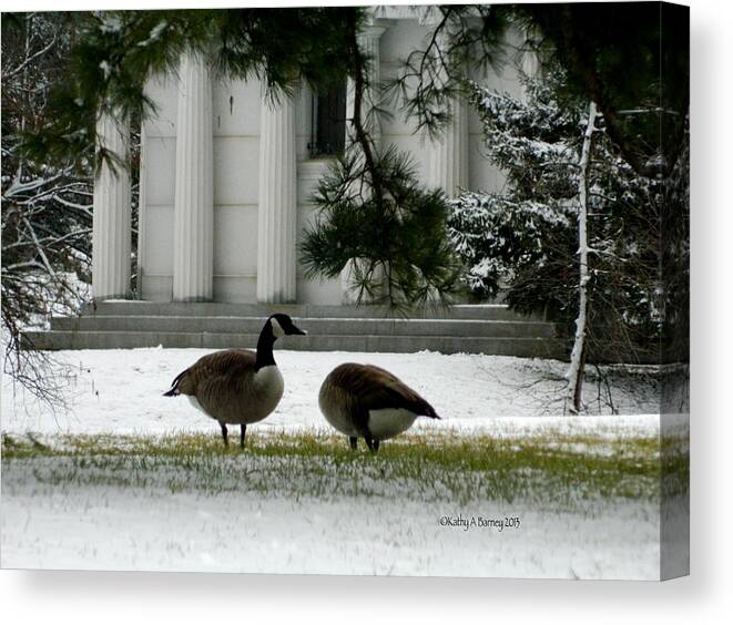 Geese Canvas Print featuring the photograph Geese in Snow by Kathy Barney