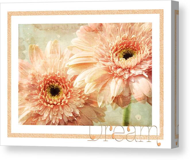 Gerber Canvas Print featuring the photograph Gerber Daisy Dream 2 by Andee Design