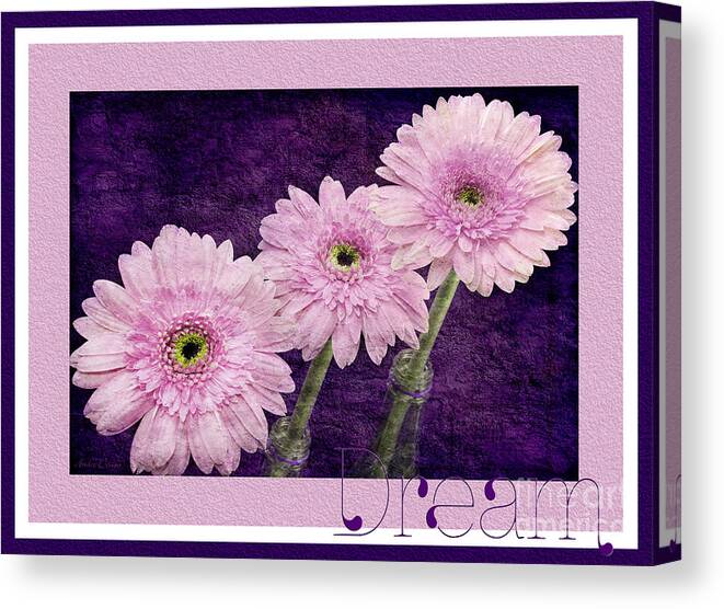 Gerber Canvas Print featuring the photograph Gerber Daisy Dream 7 by Andee Design